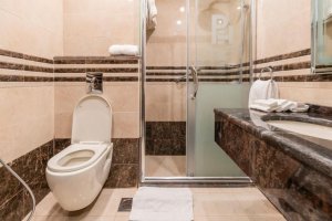 Deluxe Double or Twin Room with Mountain View