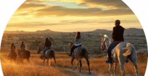 Horse Tour